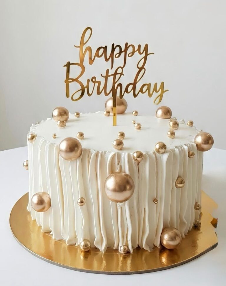 WhatsApp Image 2026-02-13 at 12.57